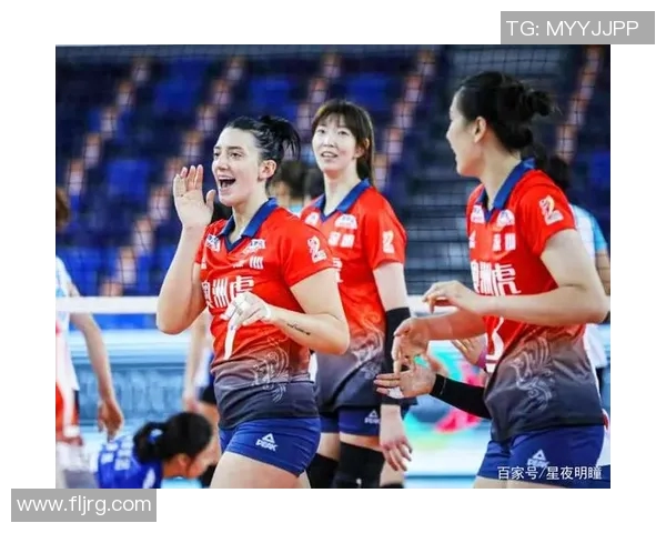 广州排球队实力深度解析与对手比较的全面研究